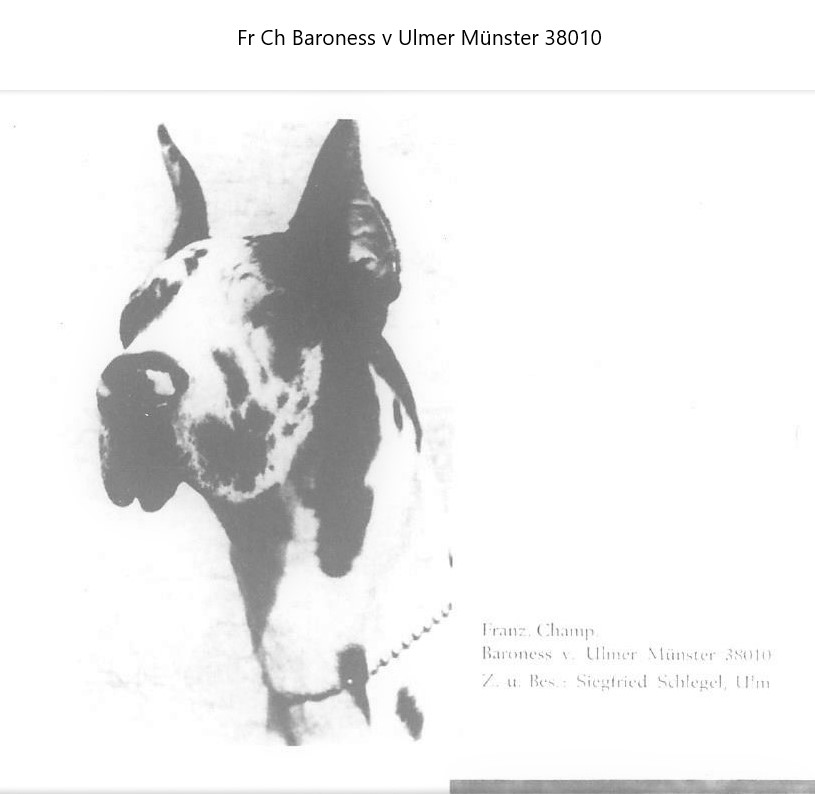 Baroness v Ulmer Munster